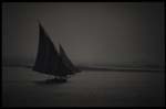 grau