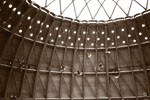 taube1