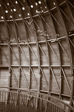 taube4